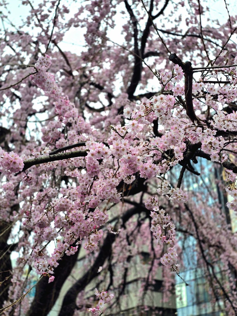 Rakky ii OH!!! tweet media