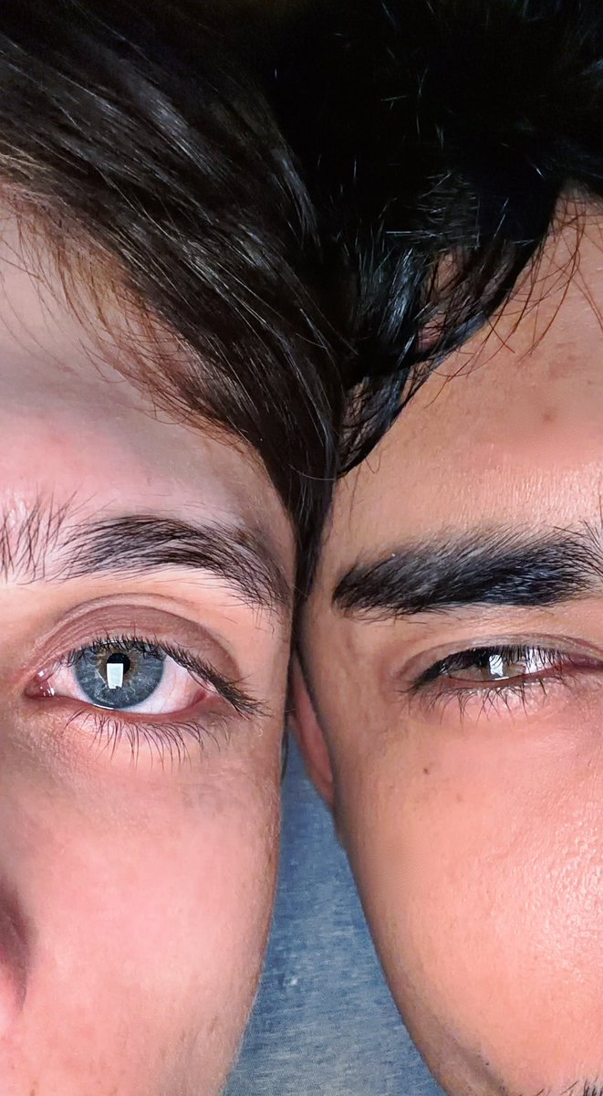 Luis Lual tweet media