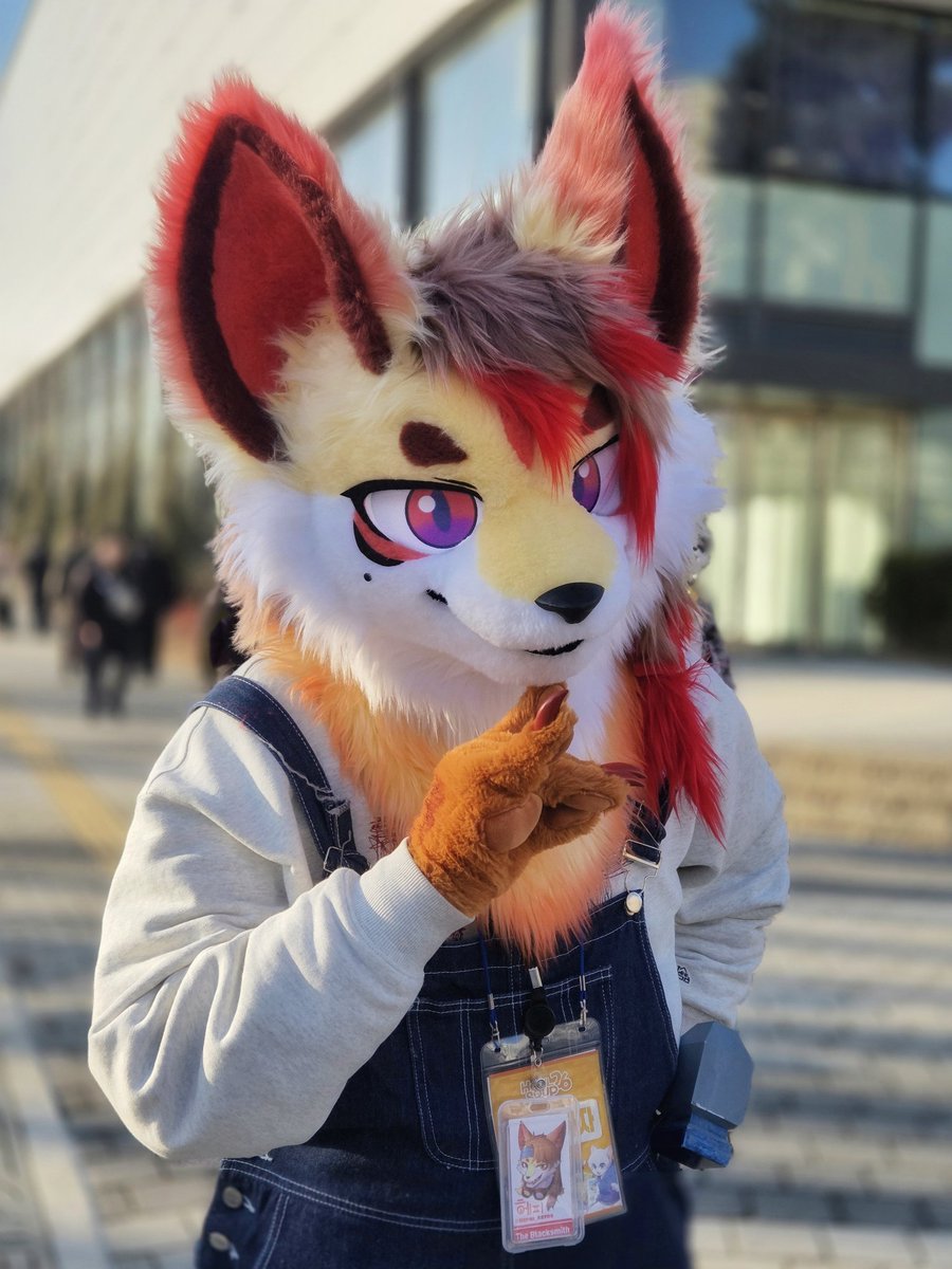 헤피_Hephi tweet media