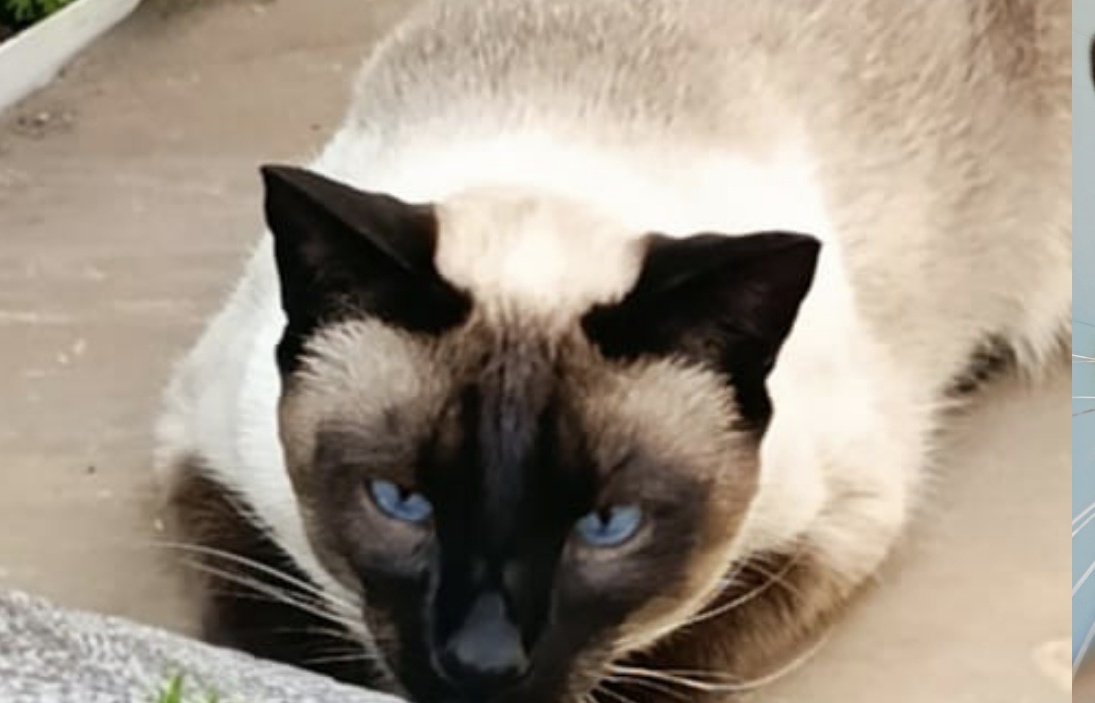 Sin.Haar.Alias tweet media