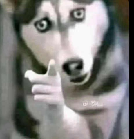 Joy⁷ 🇿🇼💜 tweet media