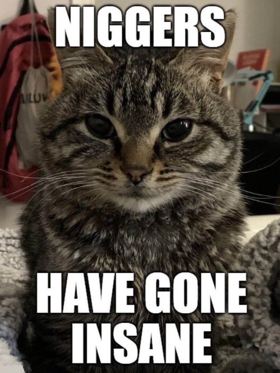 Solidus Reimu • The Great Nooticer tweet media