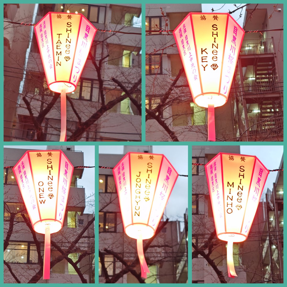 まなみっきー☆ tweet media