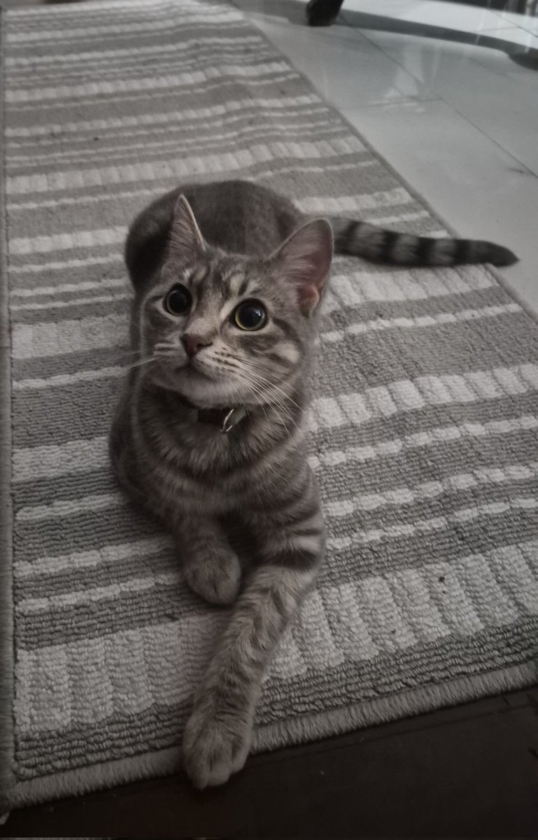 Biggie G tweet media