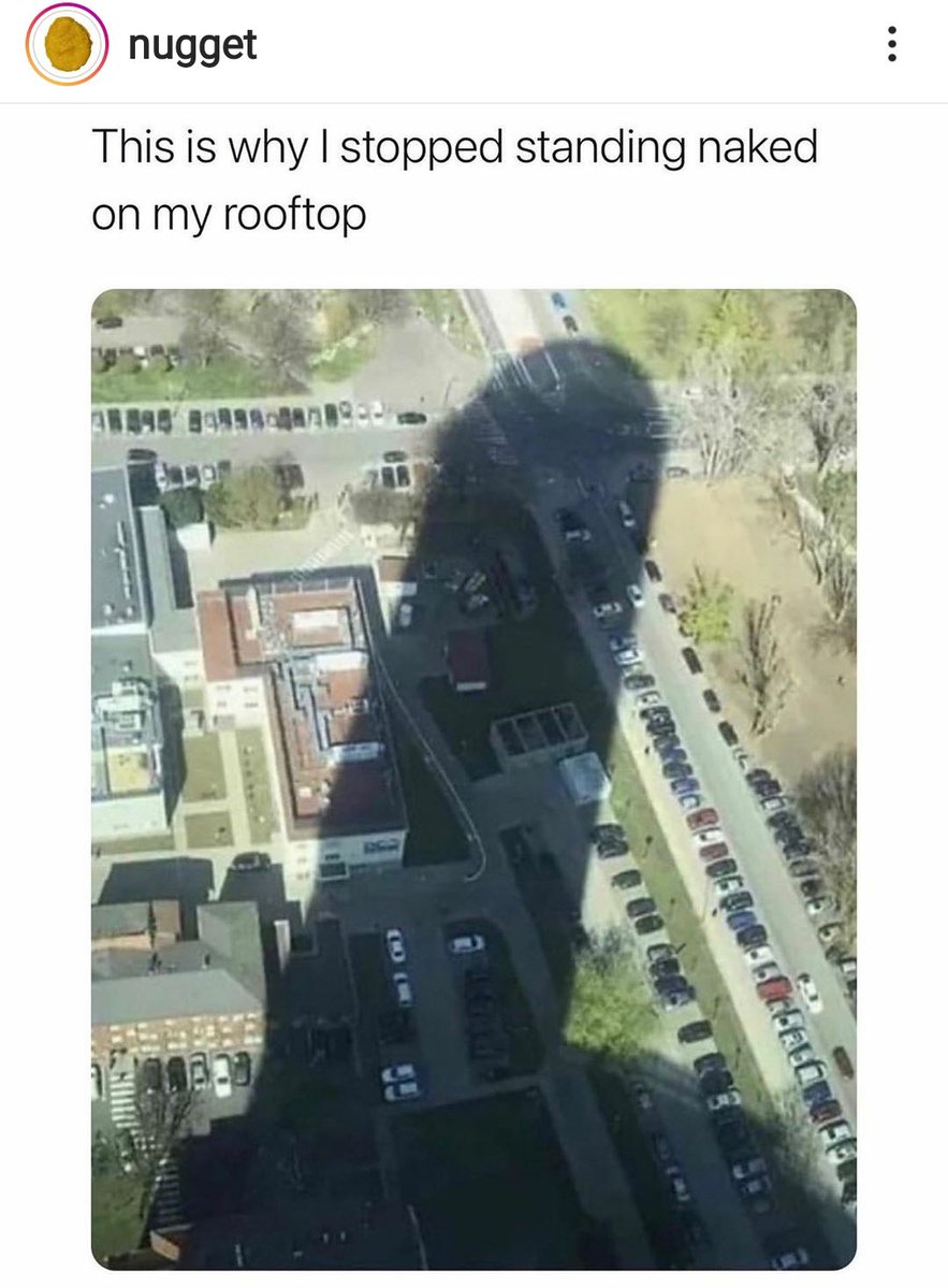 nοοr⁷ tweet media