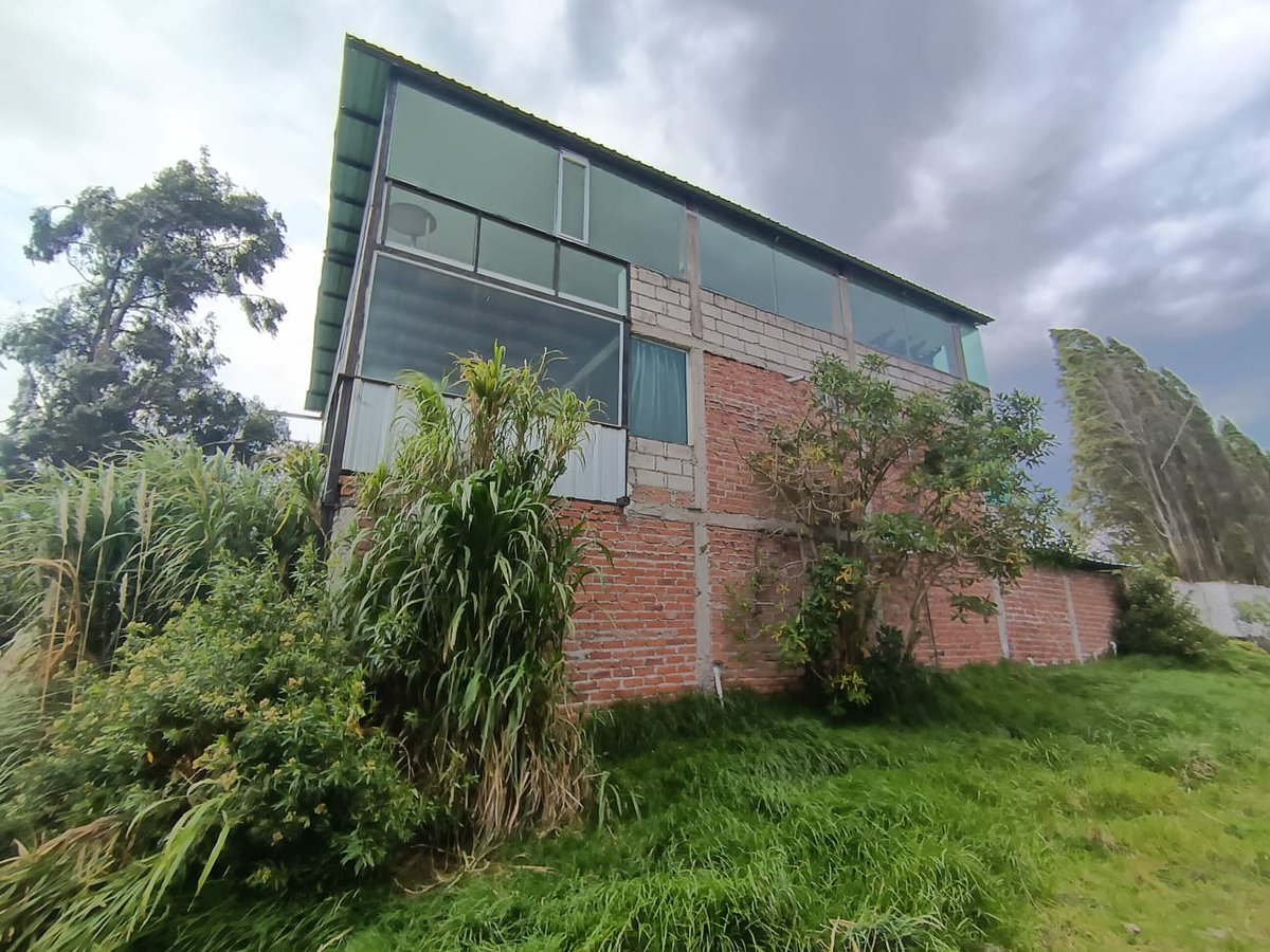 Acess Ecuador 🇪🇨 tweet media