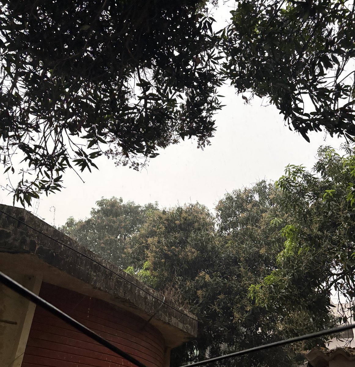 Jay Mangal Yadav tweet media