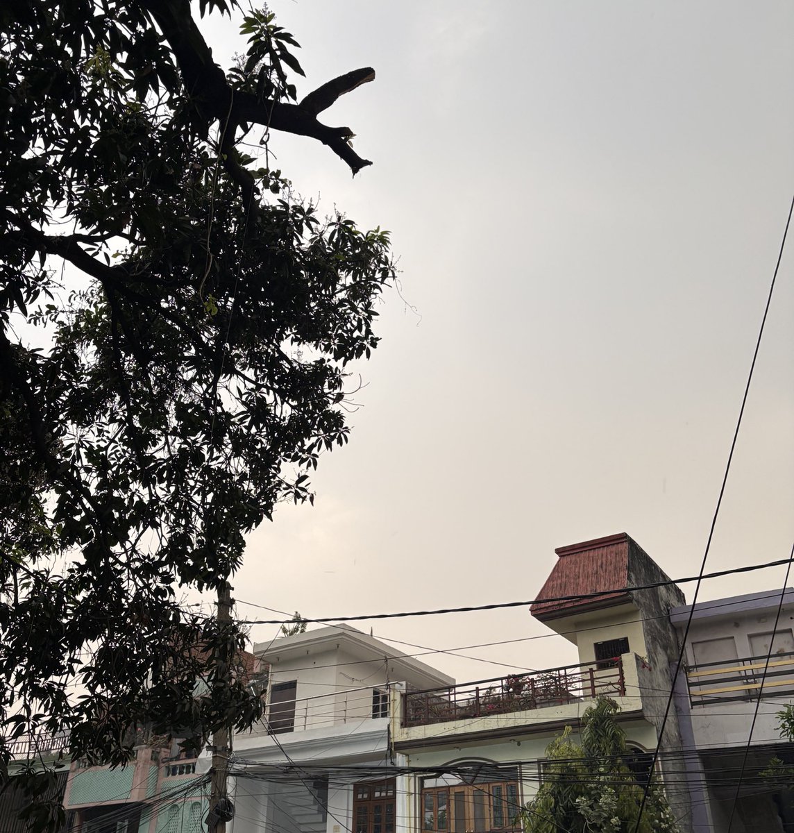 Jay Mangal Yadav tweet media