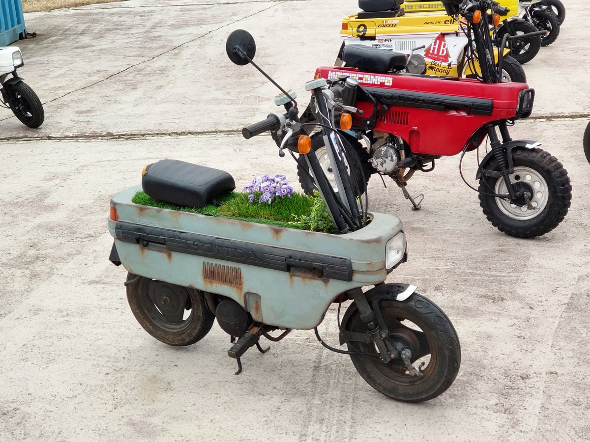 真心商会(鹿) tweet media