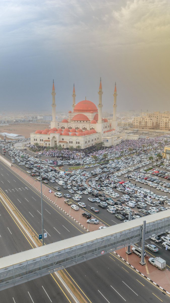 أمانة منطقة حائل tweet media