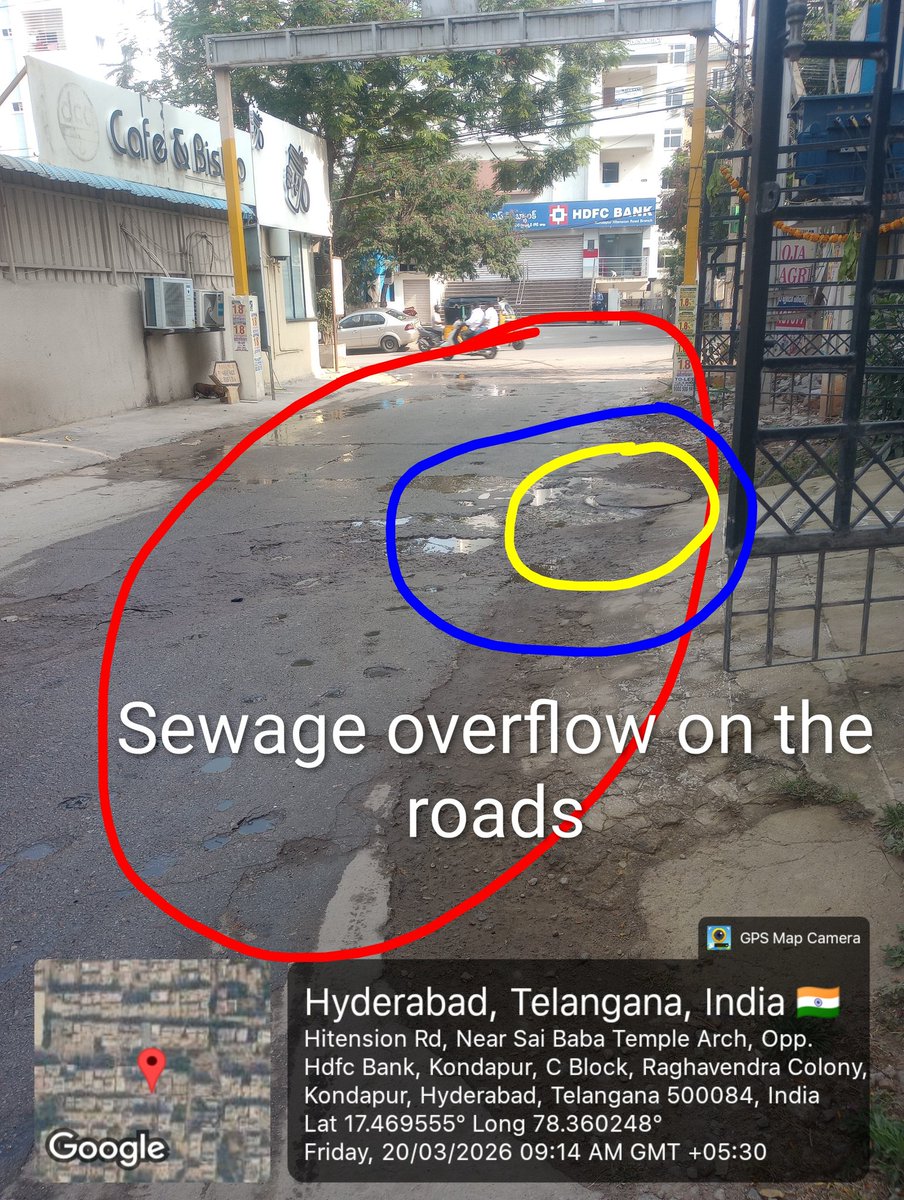 Public Health Analyst tweet media