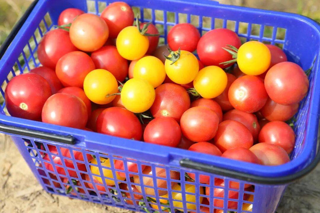 Léo Rubloski tweet media