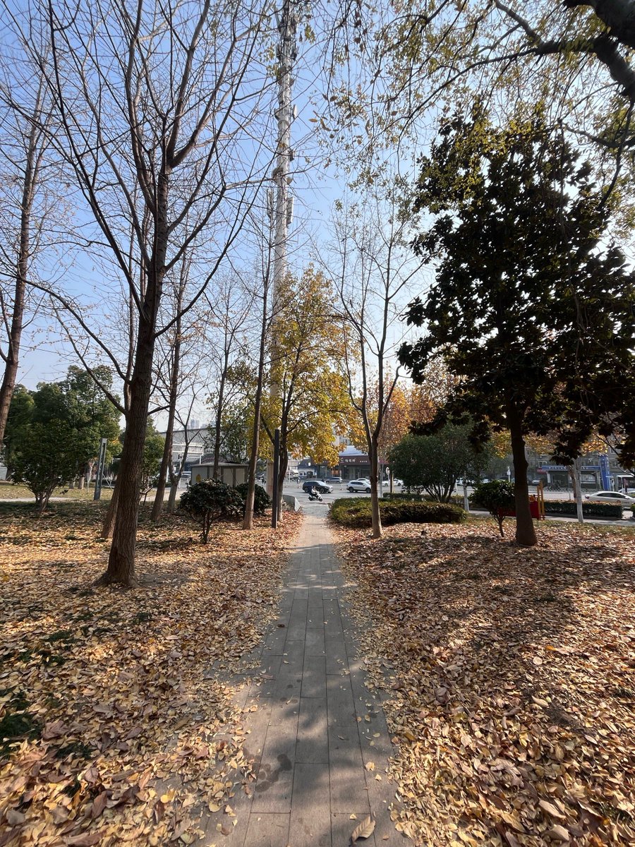 ChristianTouch09 tweet media