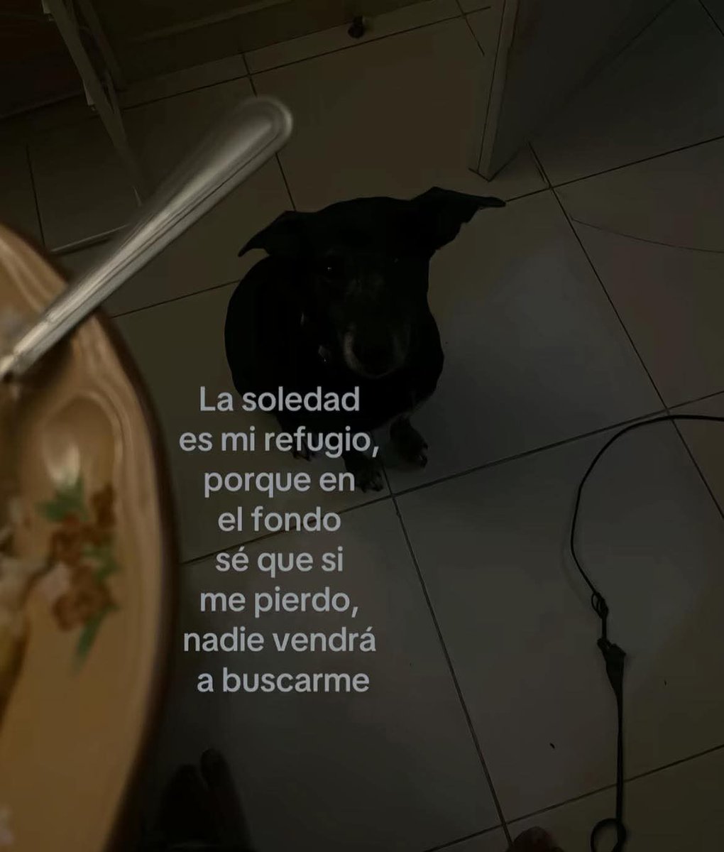 Nasty Poet (@nxstypxet) on Twitter photo 