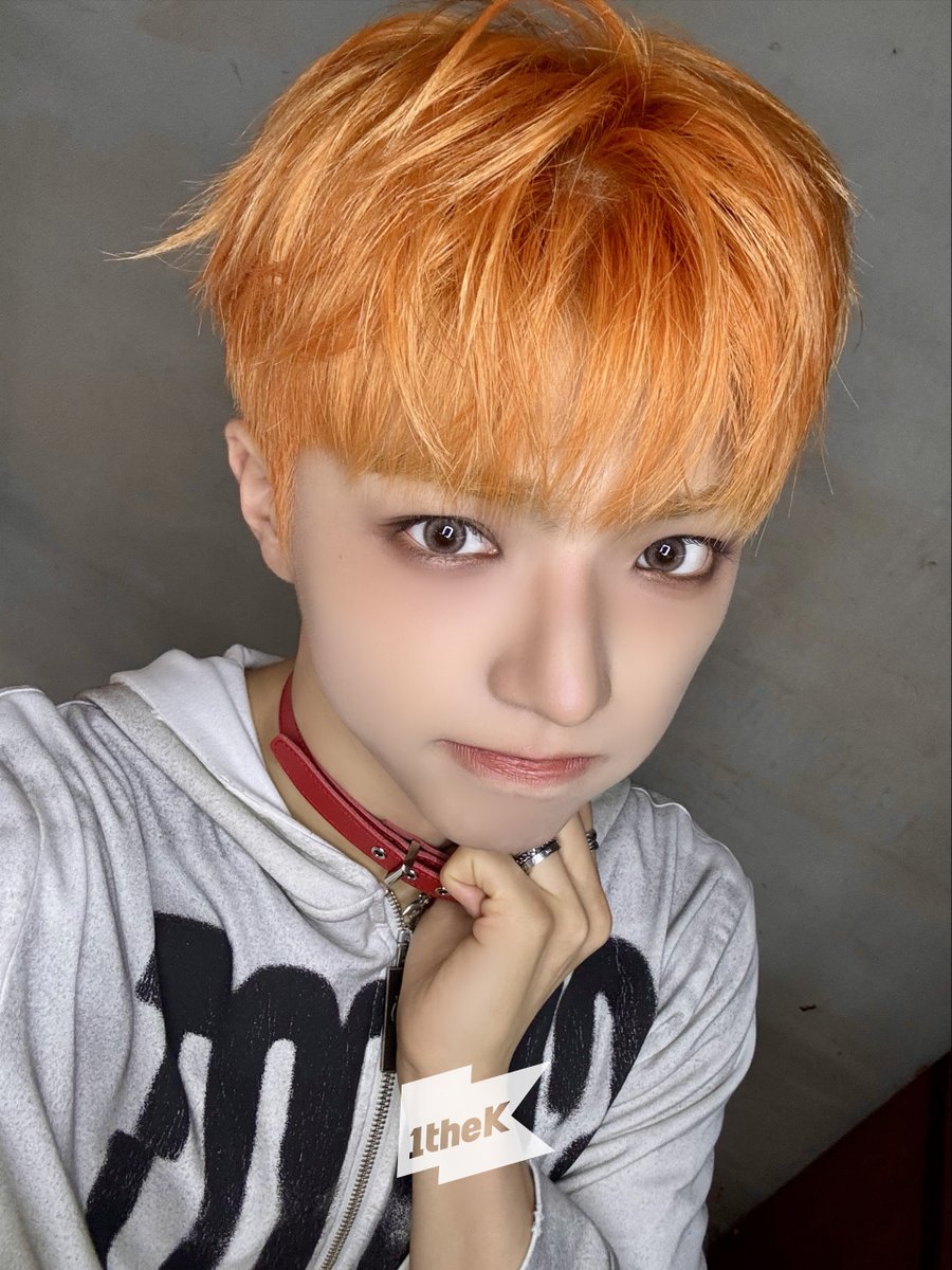 1theK(원더케이) tweet media