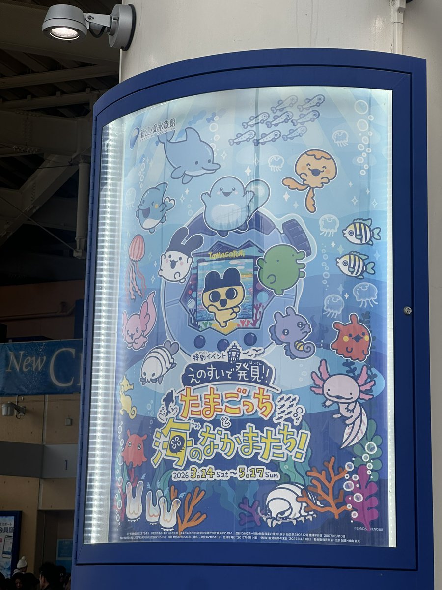 numaco24's tweet photo. #えのたま
水族館きたよ！ https://t.co/jMTvdUGUDn