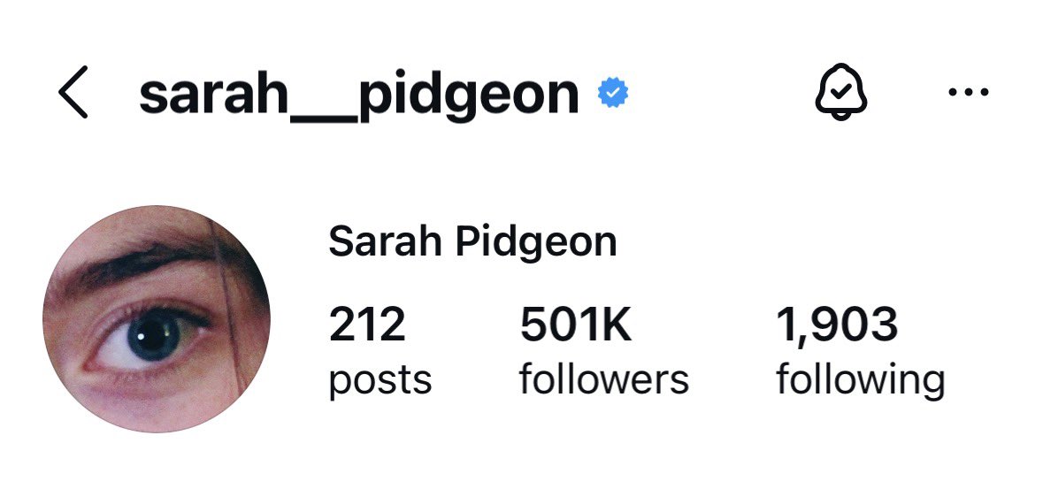 Sarah Pidgeon Updates tweet media