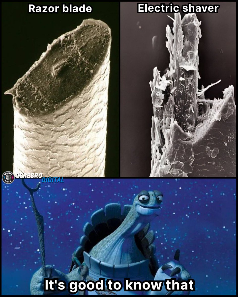 Digital Brain tweet media