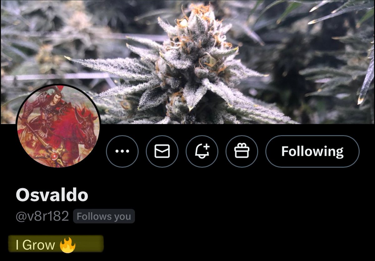 Holycrypt tweet media