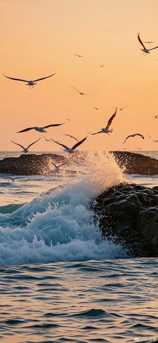 Aesthetics tweet media