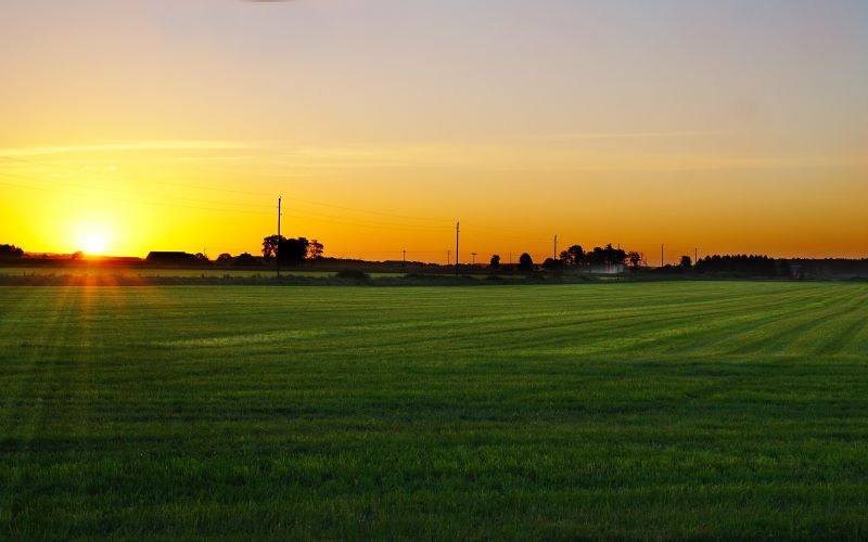 Sát Thủ về vườn tweet media