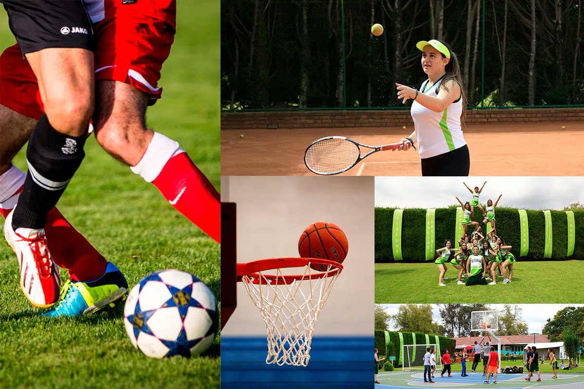 U.Externado tweet media