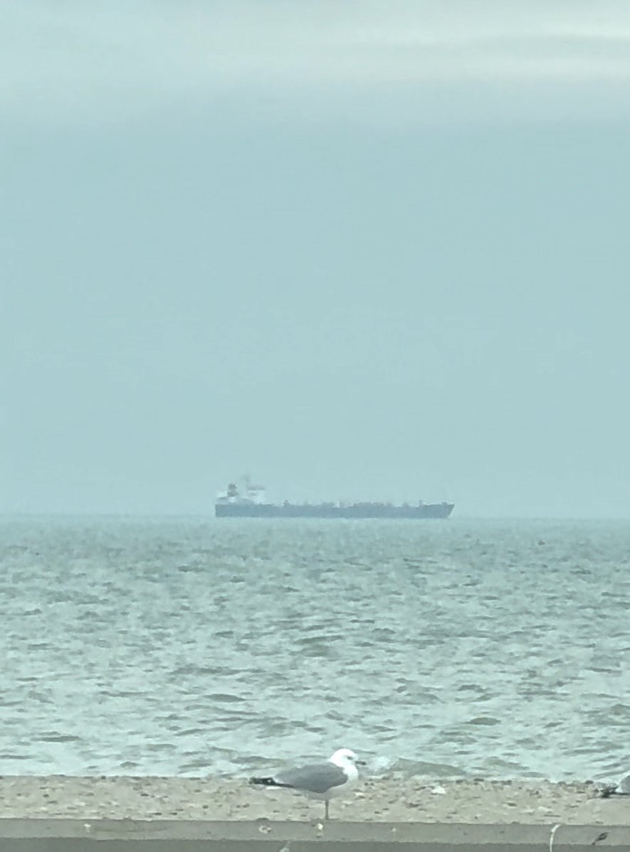 🧟‍♀️ Apocalypse Bait tweet media