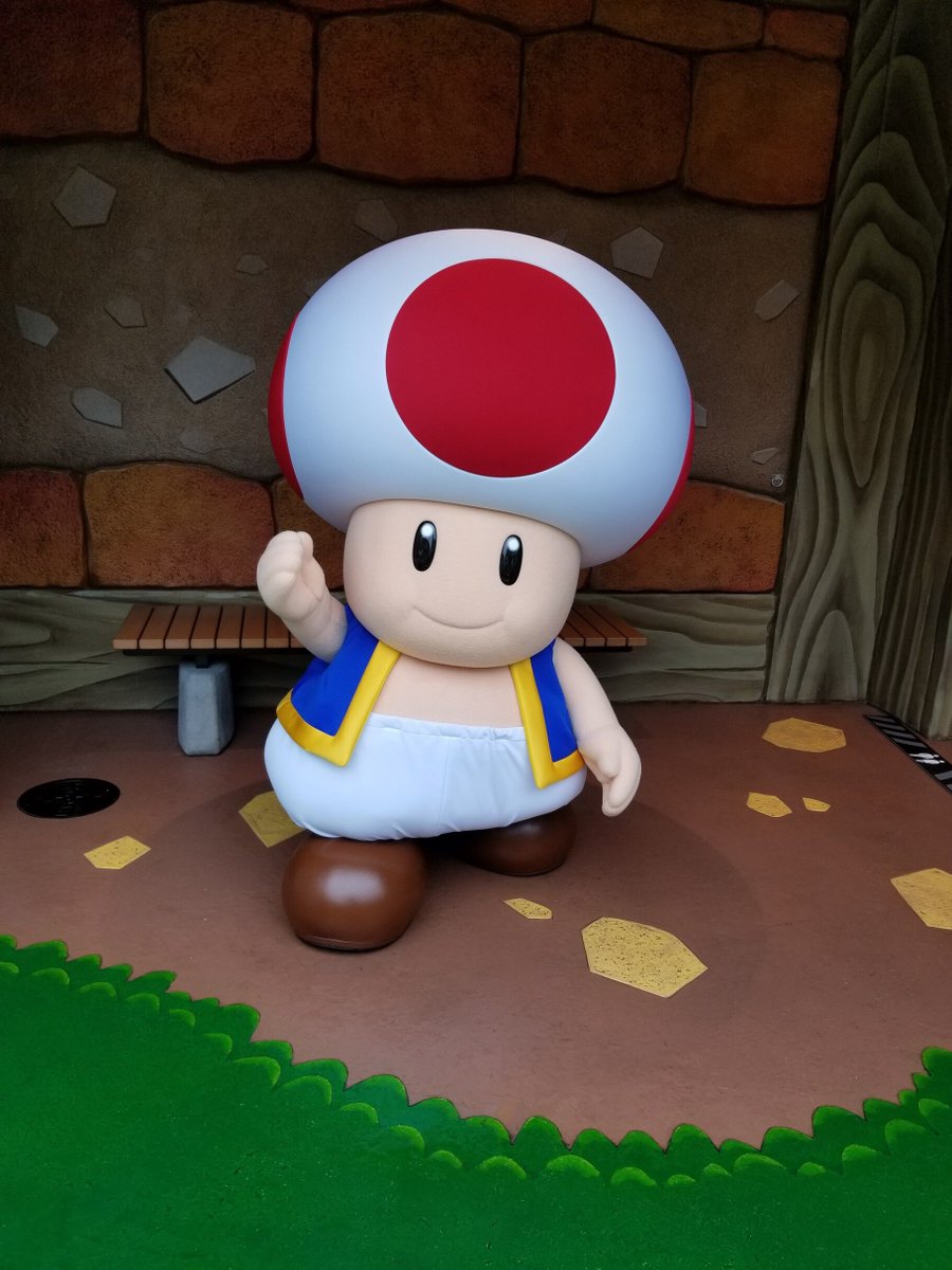 The Chonky Toad (be back soon) (@chonkytoad) on Twitter photo 
