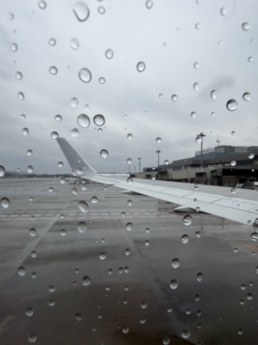 PingPing tweet media