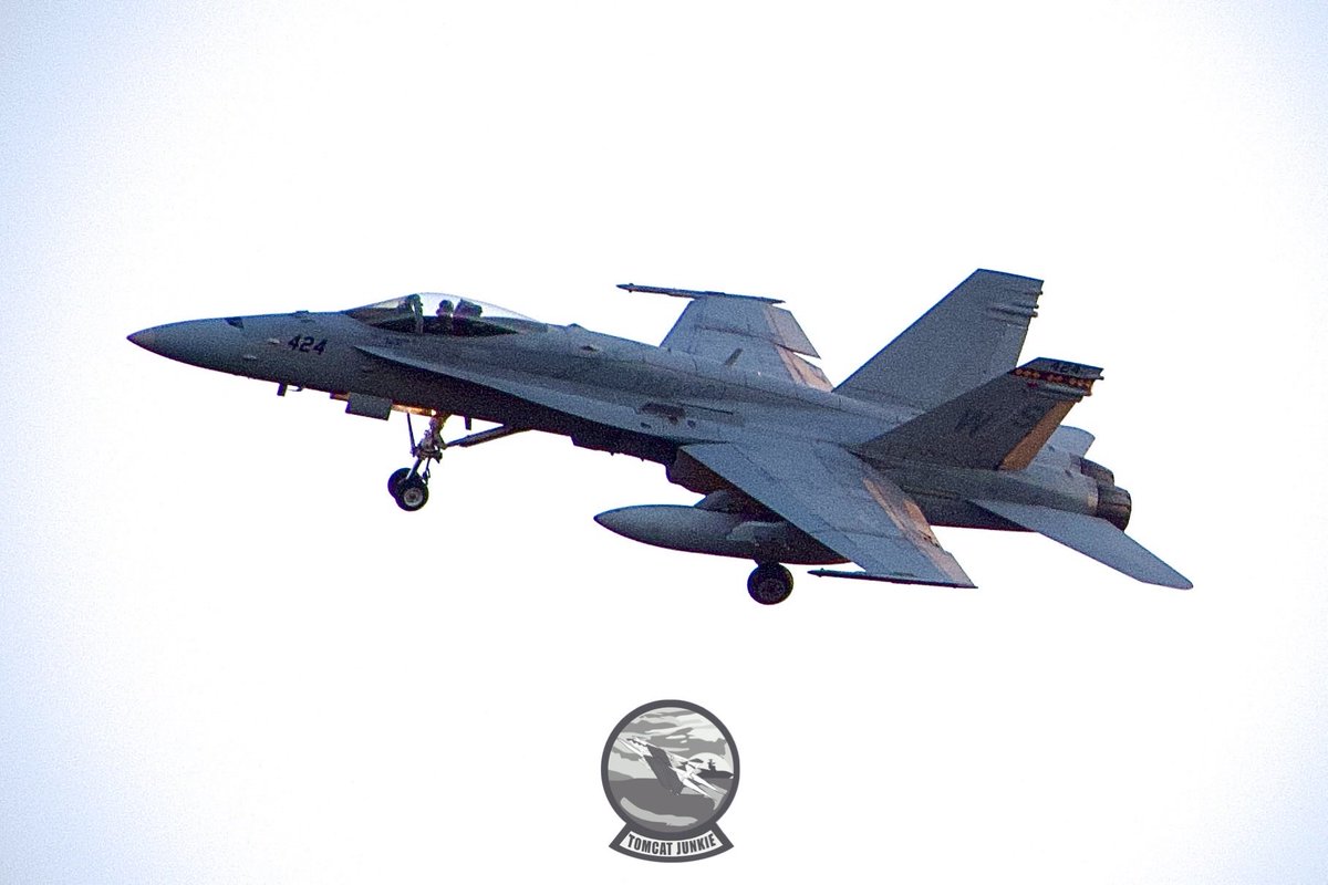 TomcatJunkie🏴‍☠️ tweet media