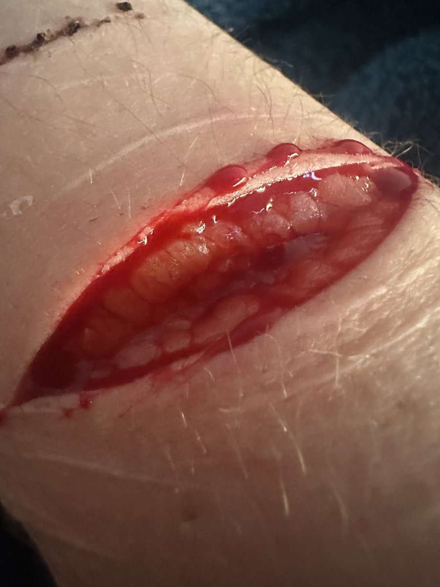 john pork of shtwt tweet media