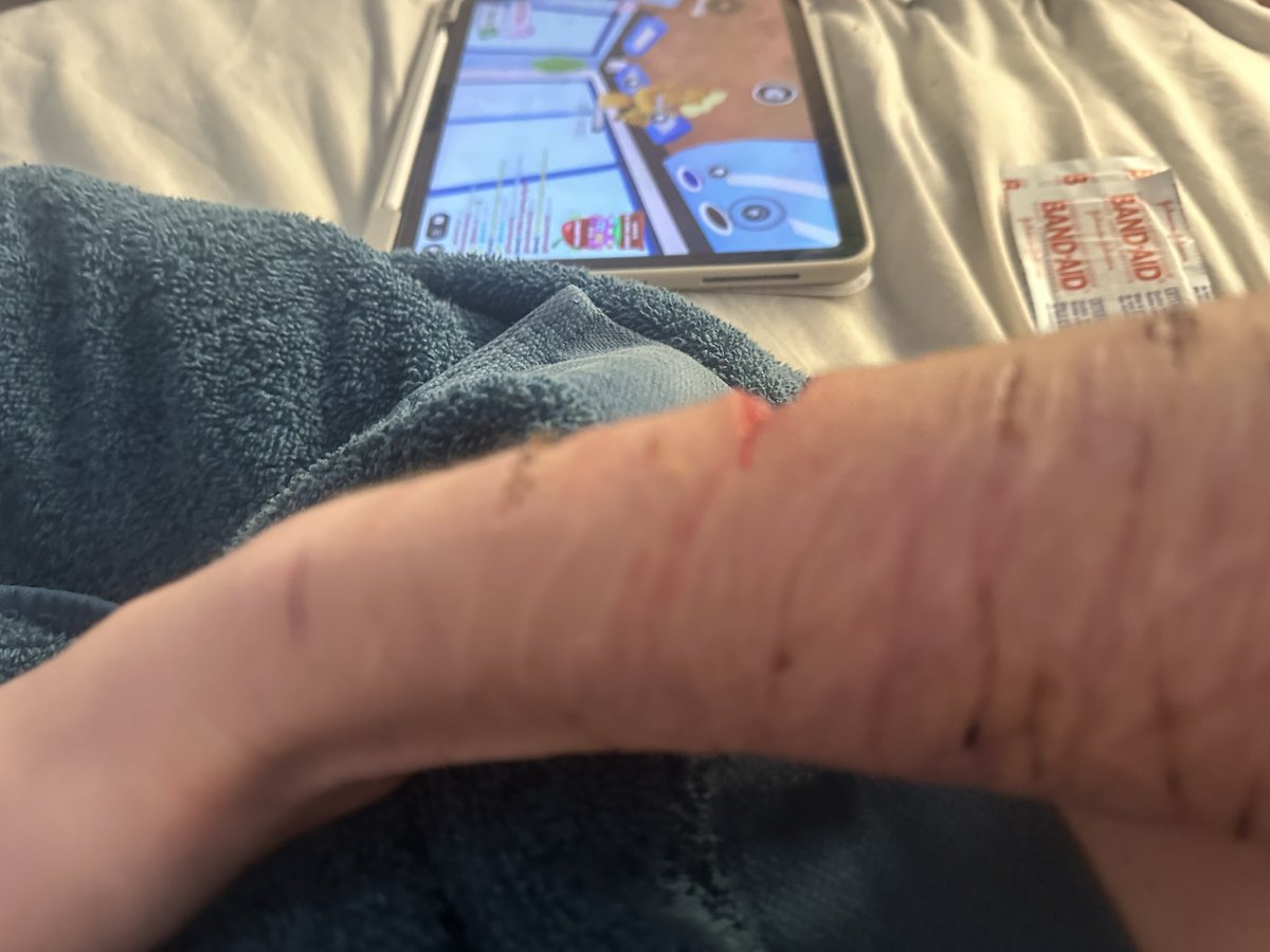 john pork of shtwt tweet media