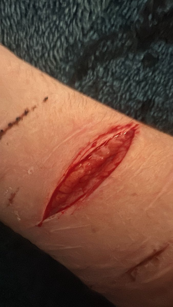 john pork of shtwt tweet media