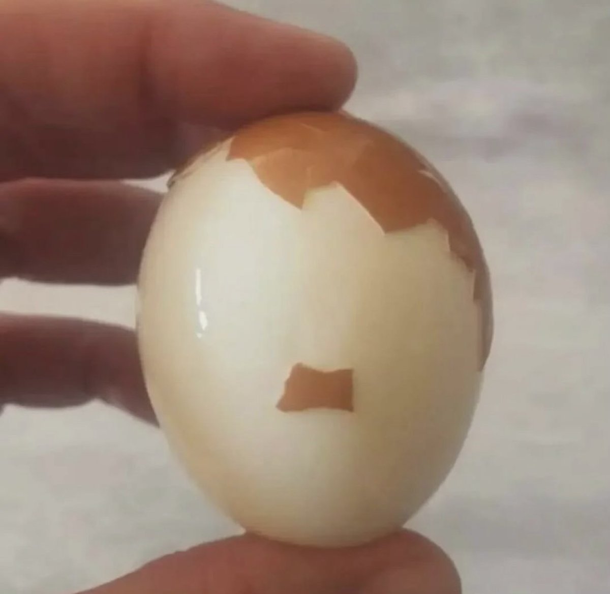 Mike Bales 🫡🇺🇸 tweet media