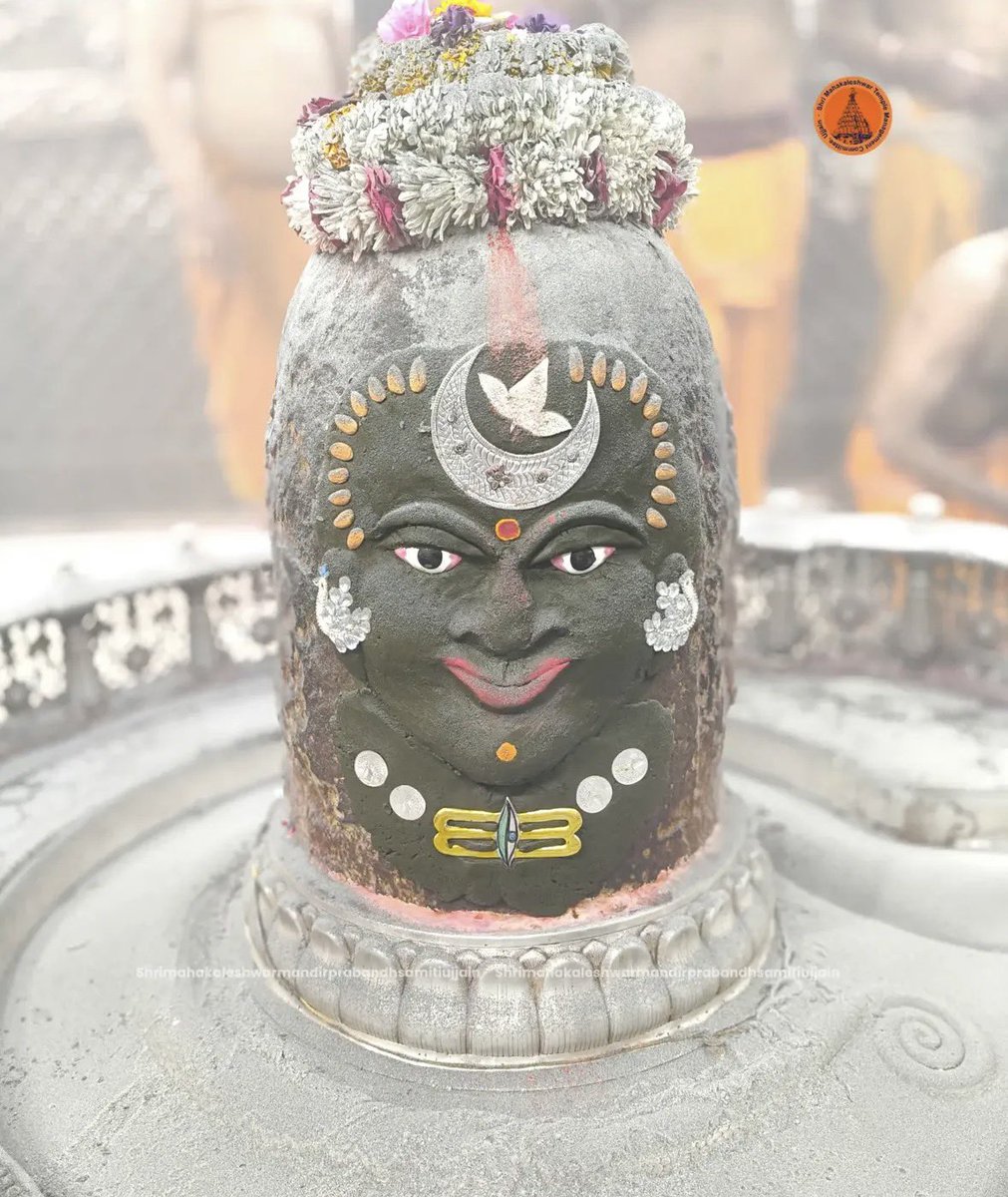 Organiser Weekly tweet media