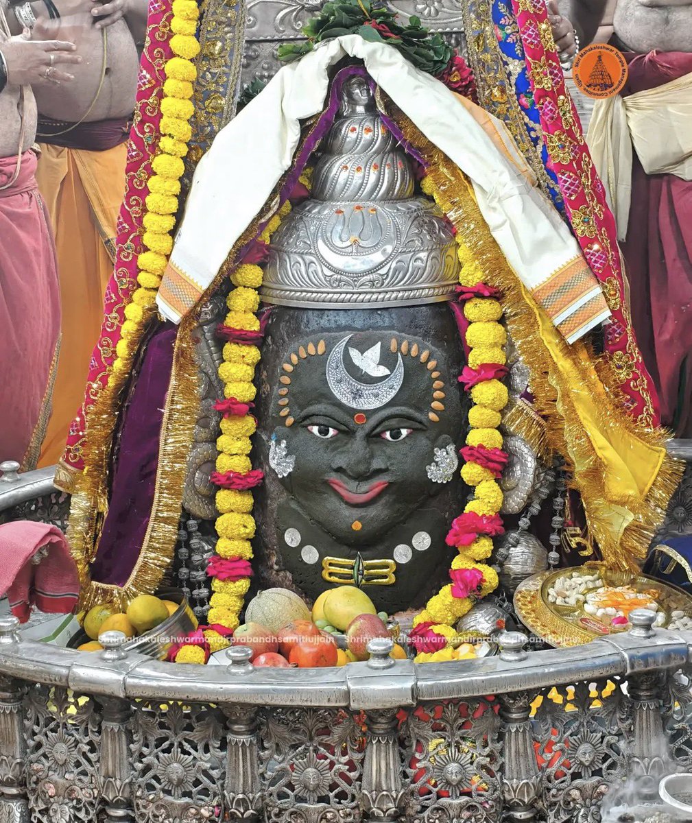 Organiser Weekly tweet media