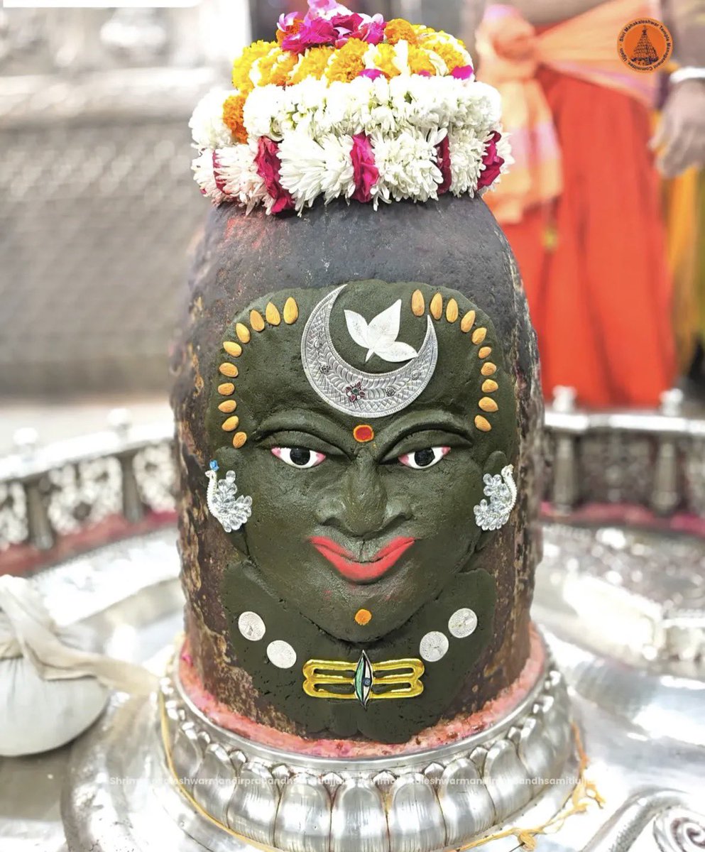 Organiser Weekly tweet media