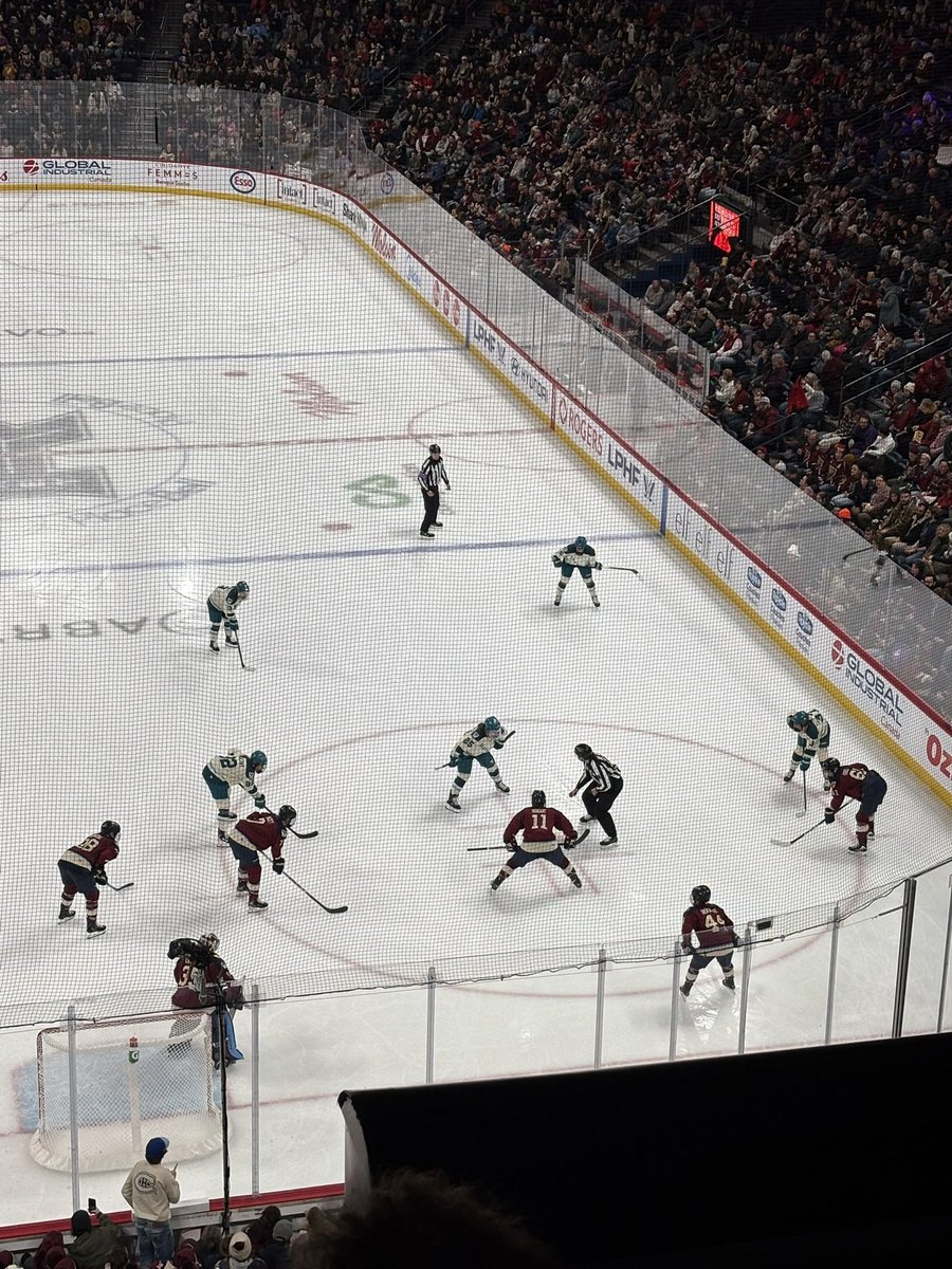 alice ☆ tweet media