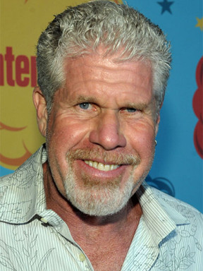 The Ghost of Grandpa Fella 🇺🇲🇮🇪🇵🇱🇺🇦 tweet media