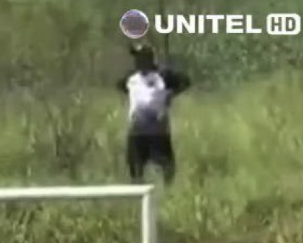 Andrey Raychtock tweet media