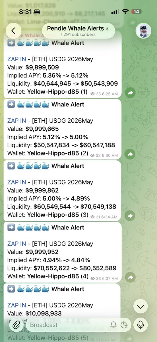 Pendle Intern tweet media