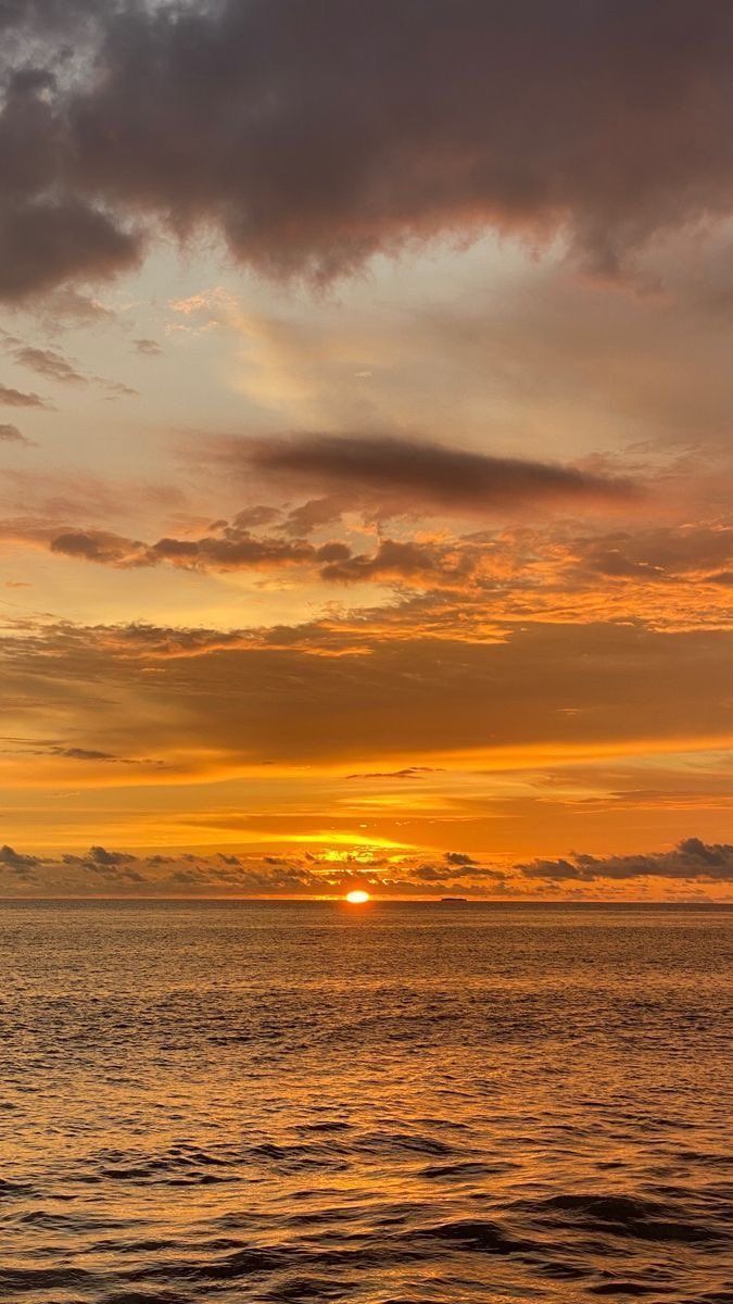 Aesthetics tweet media