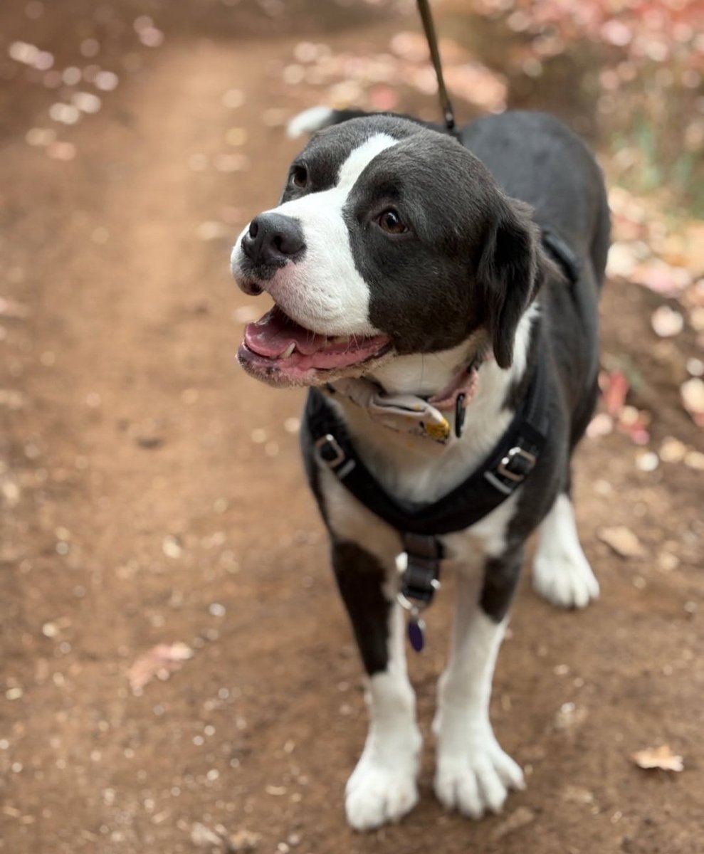 0pinions_Only tweet media