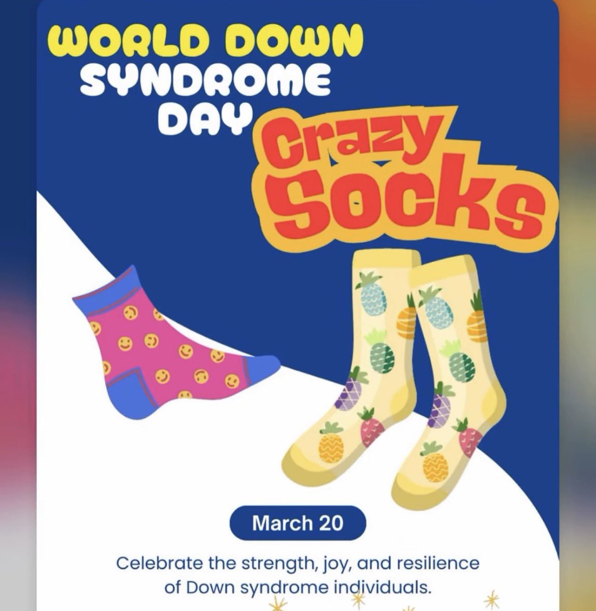 CHS HORNED TOADS tweet media