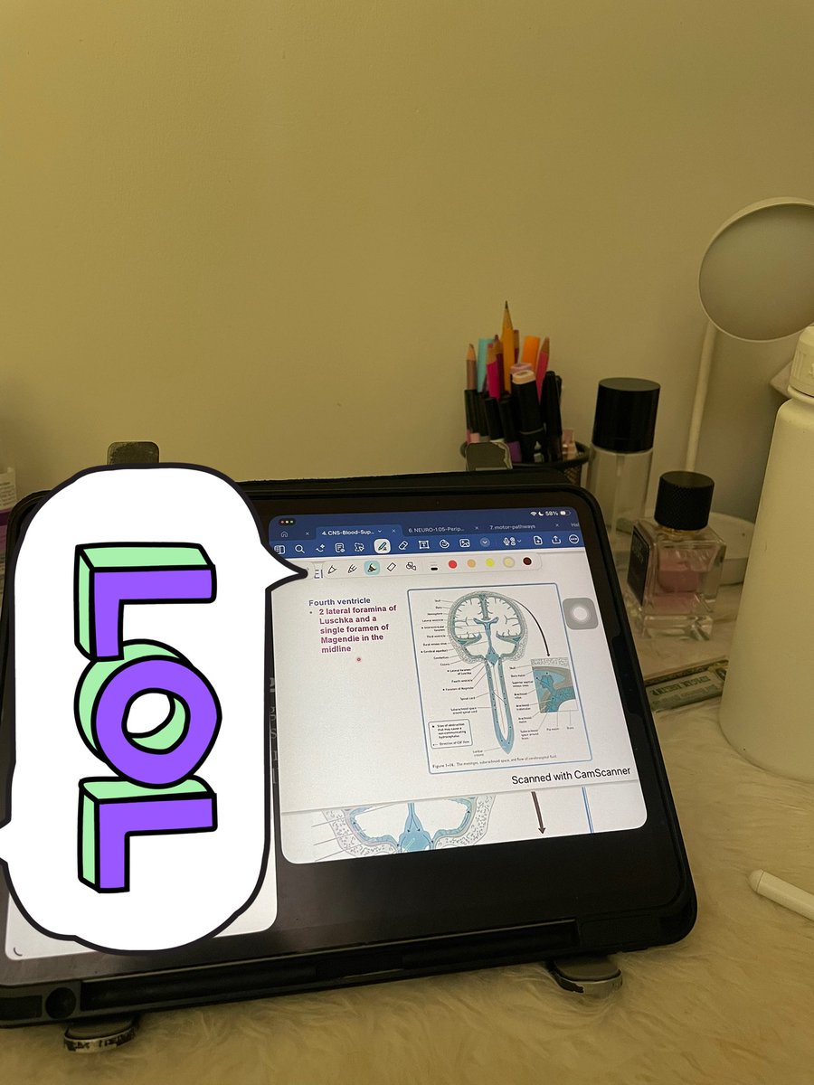 md cutie tweet media