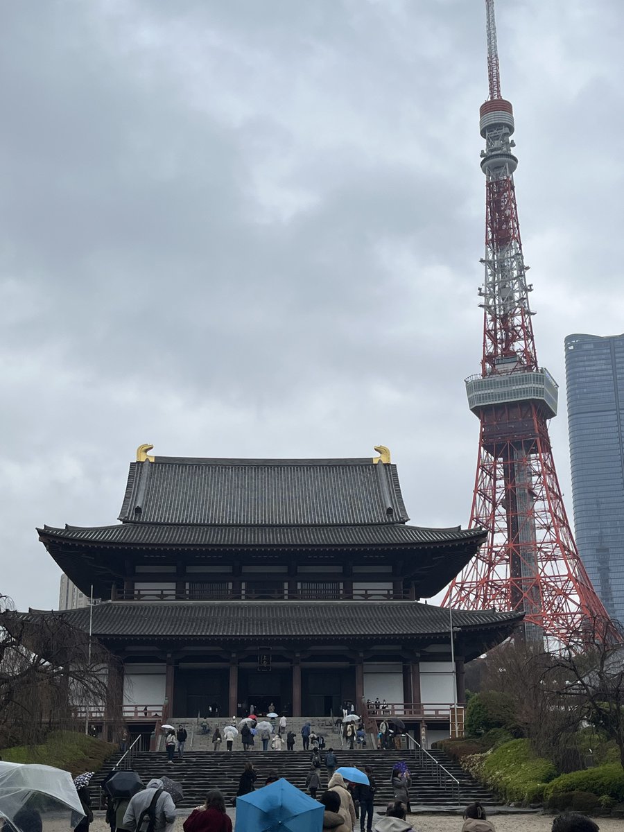 ポチヲ tweet media