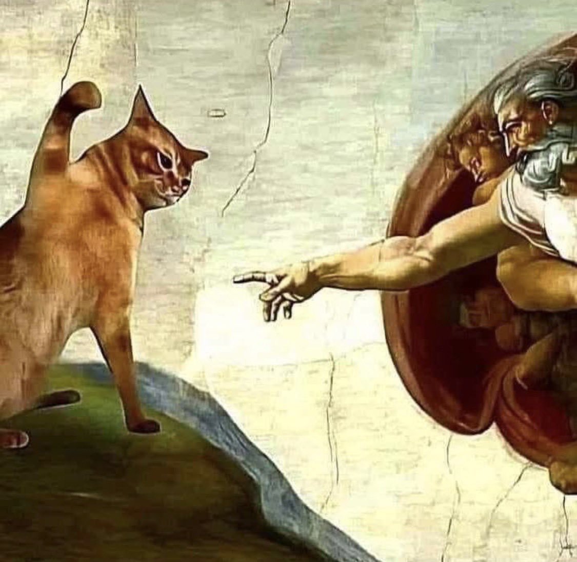 🌹Lisa🌹 tweet media