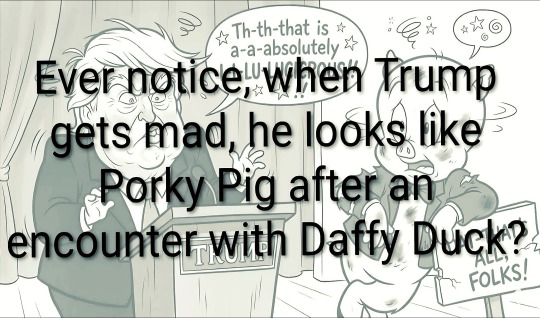 Brown Eyed Susan tweet media