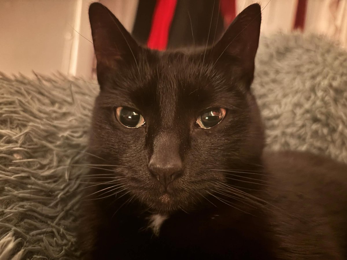 bmw ²¹² tweet media