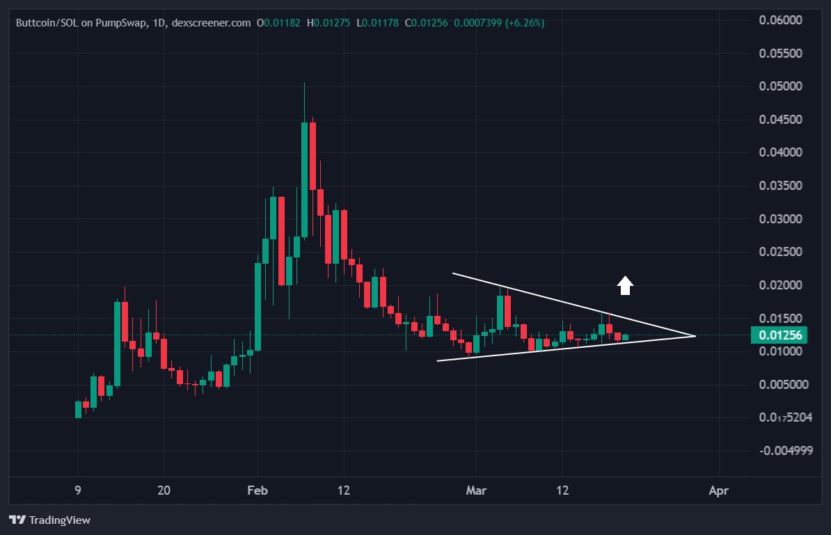 Daze 🐸 tweet media